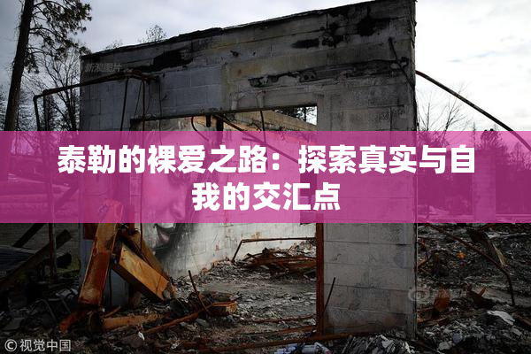 泰勒的裸爱之路：探索真实与自我的交汇点