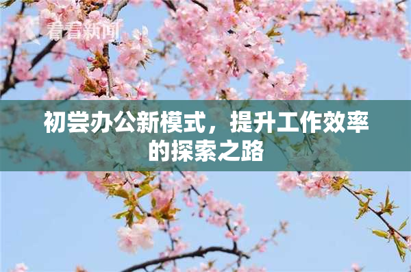 初尝办公新模式，提升工作效率的探索之路