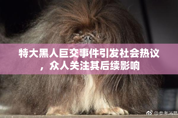 特大黑人巨交事件引发社会热议，众人关注其后续影响