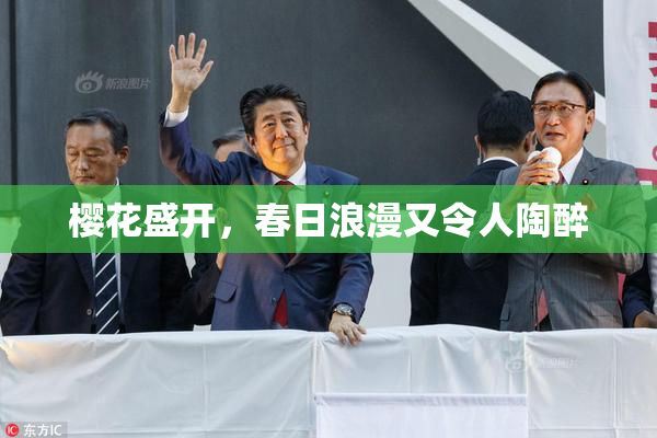 樱花盛开，春日浪漫又令人陶醉
