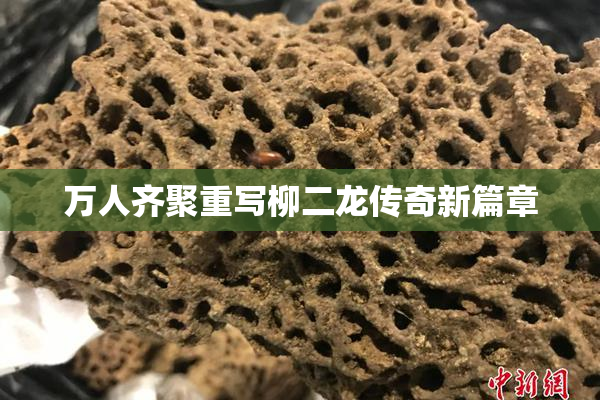 万人齐聚重写柳二龙传奇新篇章