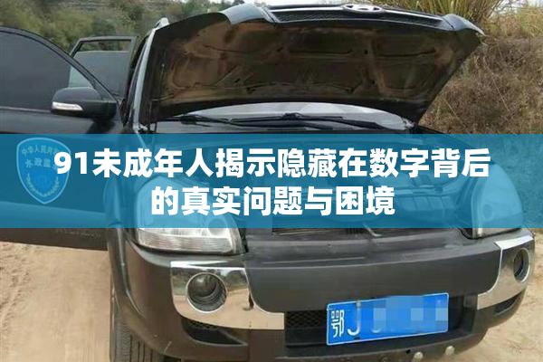 91未成年人揭示隐藏在数字背后的真实问题与困境