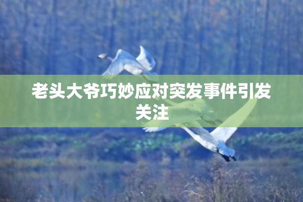 老头大爷巧妙应对突发事件引发关注