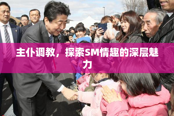 主仆调教，探索SM情趣的深层魅力