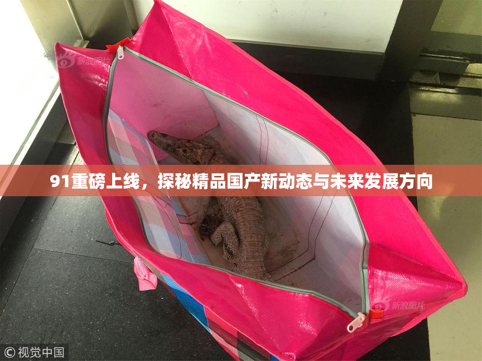 91重磅上线，探秘精品国产新动态与未来发展方向