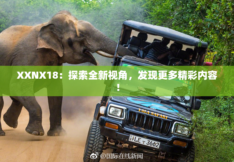 XXNX18：探索全新视角，发现更多精彩内容！