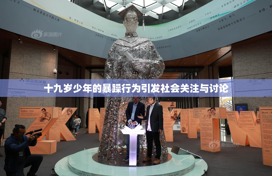 十九岁少年的暴躁行为引发社会关注与讨论