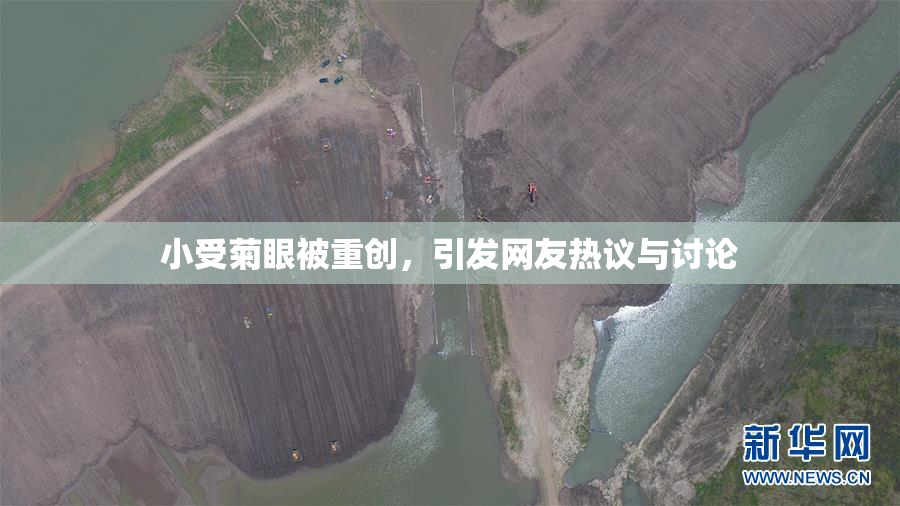 小受菊眼被重创，引发网友热议与讨论