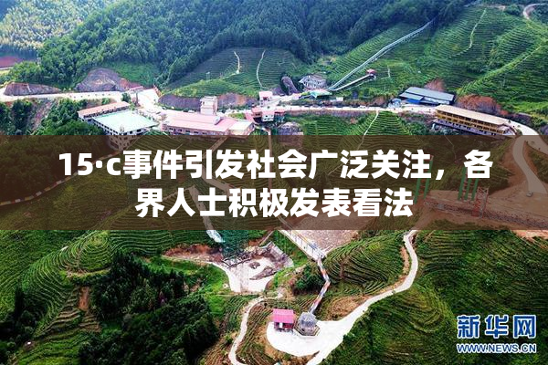 15·c事件引发社会广泛关注，各界人士积极发表看法
