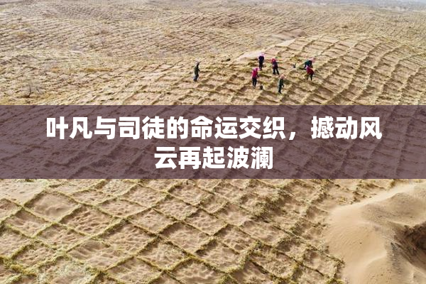 叶凡与司徒的命运交织，撼动风云再起波澜