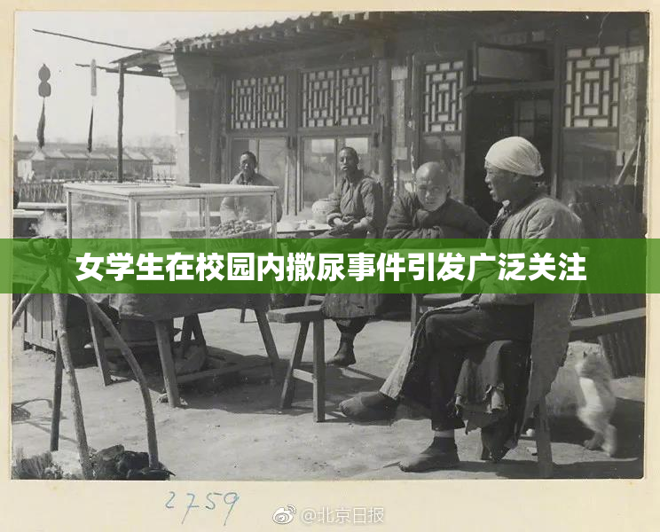女学生在校园内撒尿事件引发广泛关注