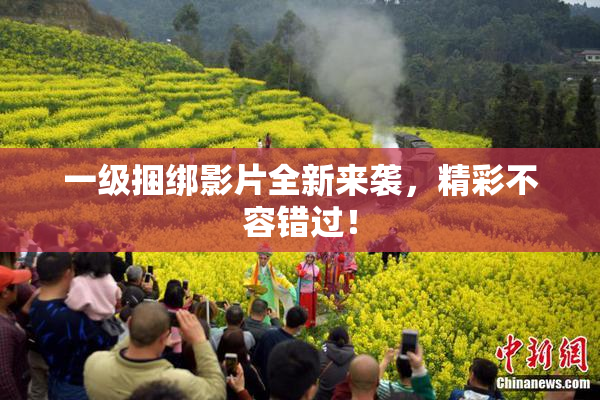 一级捆绑影片全新来袭，精彩不容错过！