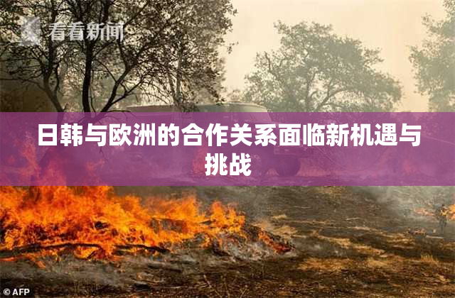 日韩与欧洲的合作关系面临新机遇与挑战