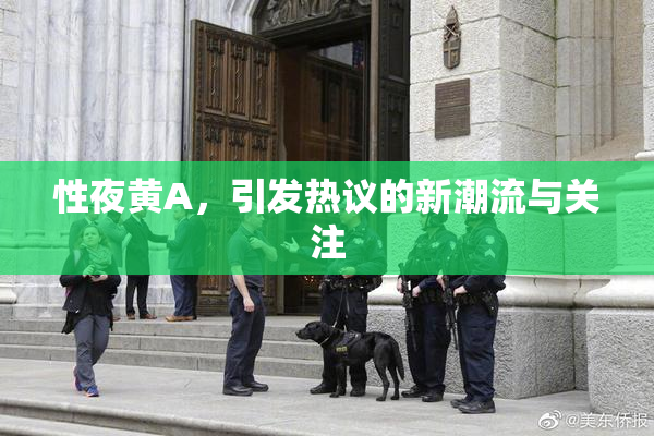 性夜黄A，引发热议的新潮流与关注