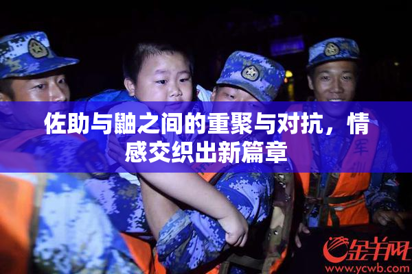 佐助与鼬之间的重聚与对抗，情感交织出新篇章