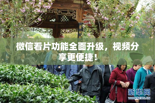 微信看片功能全面升级，视频分享更便捷！
