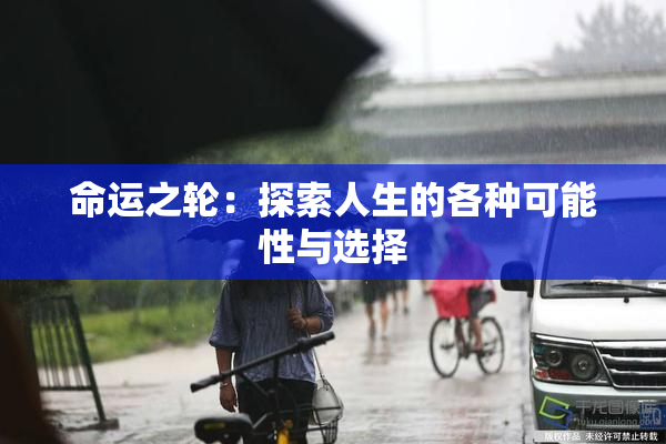命运之轮：探索人生的各种可能性与选择