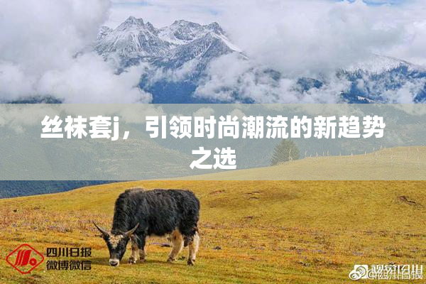 丝袜套j，引领时尚潮流的新趋势之选