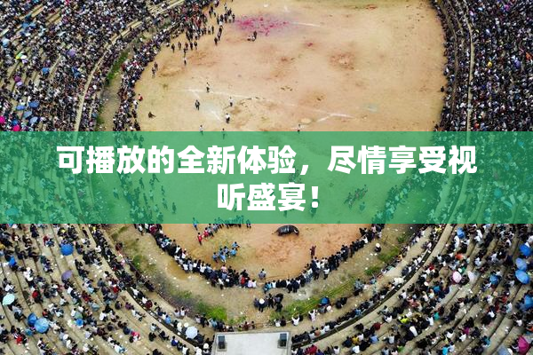 可播放的全新体验，尽情享受视听盛宴！