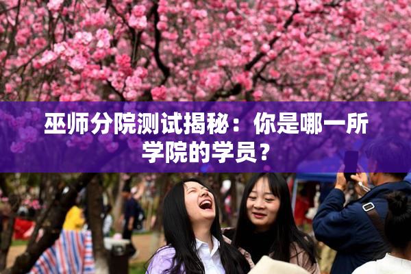 巫师分院测试揭秘：你是哪一所学院的学员？