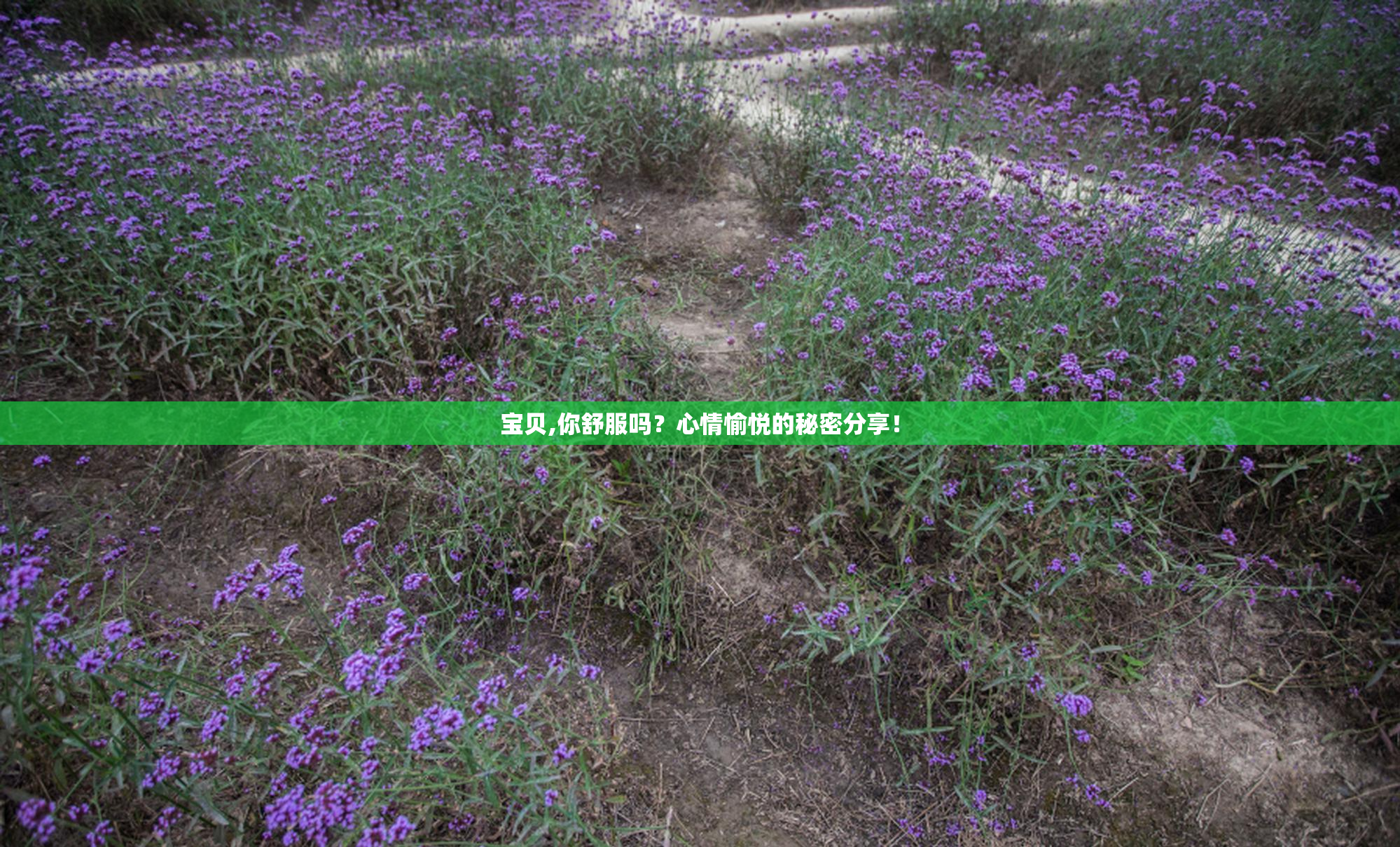 宝贝,你舒服吗？心情愉悦的秘密分享！