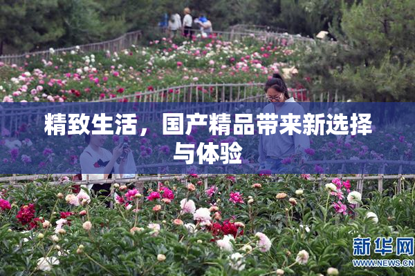 精致生活，国产精品带来新选择与体验