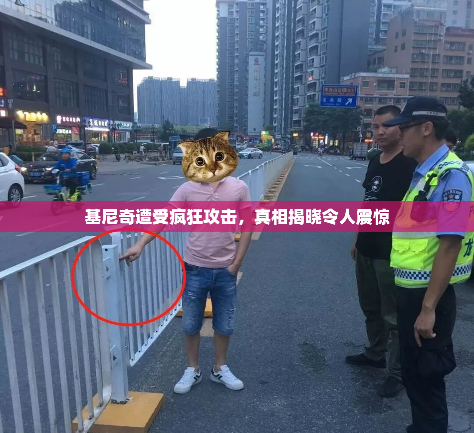 基尼奇遭受疯狂攻击，真相揭晓令人震惊