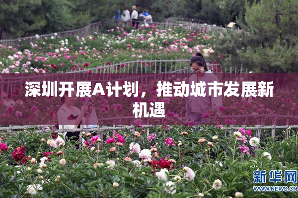 深圳开展A计划，推动城市发展新机遇