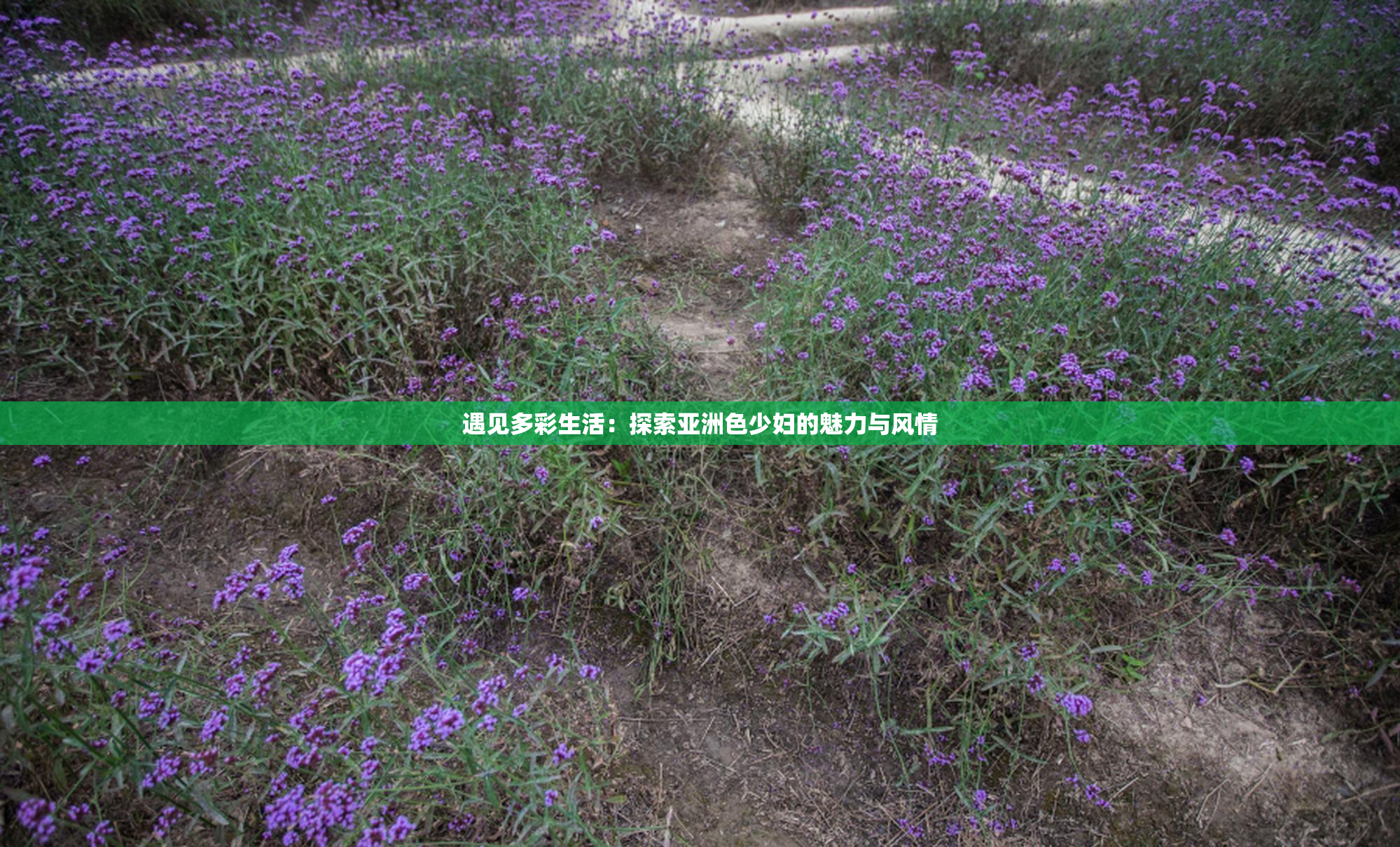 遇见多彩生活：探索亚洲色少妇的魅力与风情