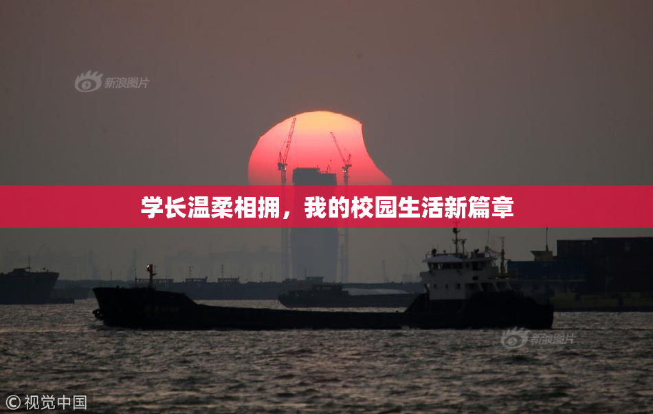 学长温柔相拥，我的校园生活新篇章