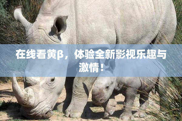 在线看黄β，体验全新影视乐趣与激情！