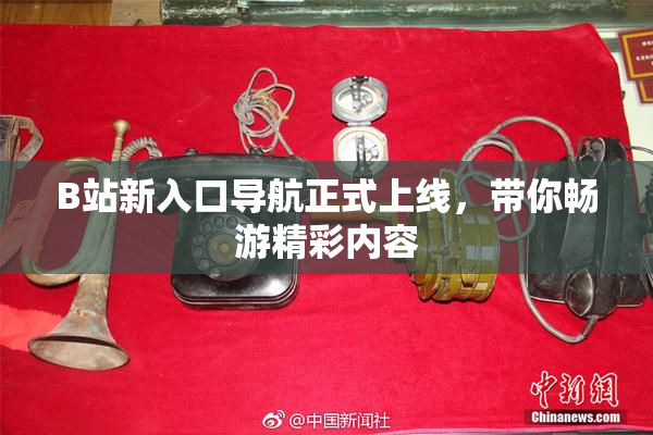 B站新入口导航正式上线，带你畅游精彩内容