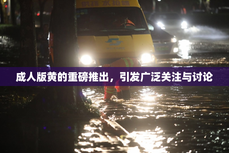 成人版黄的重磅推出，引发广泛关注与讨论