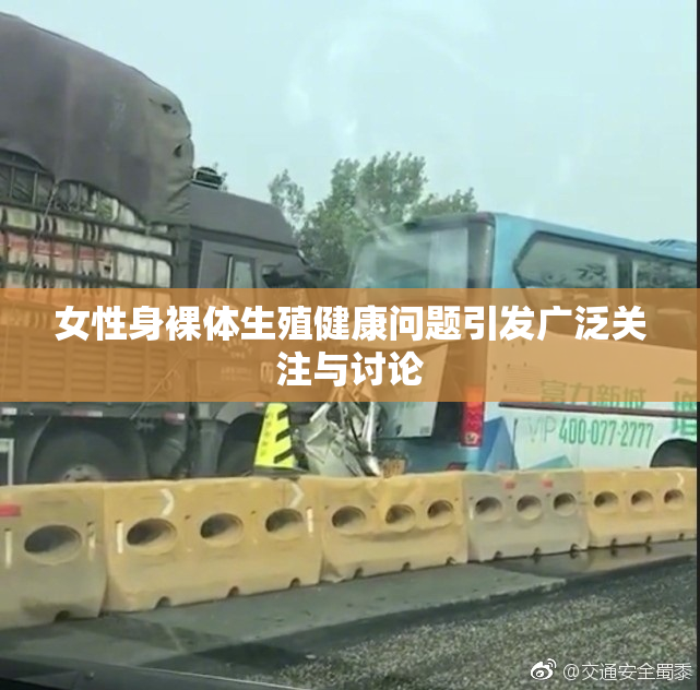 女性身裸体生殖健康问题引发广泛关注与讨论