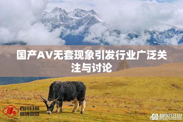 国产AV无套现象引发行业广泛关注与讨论