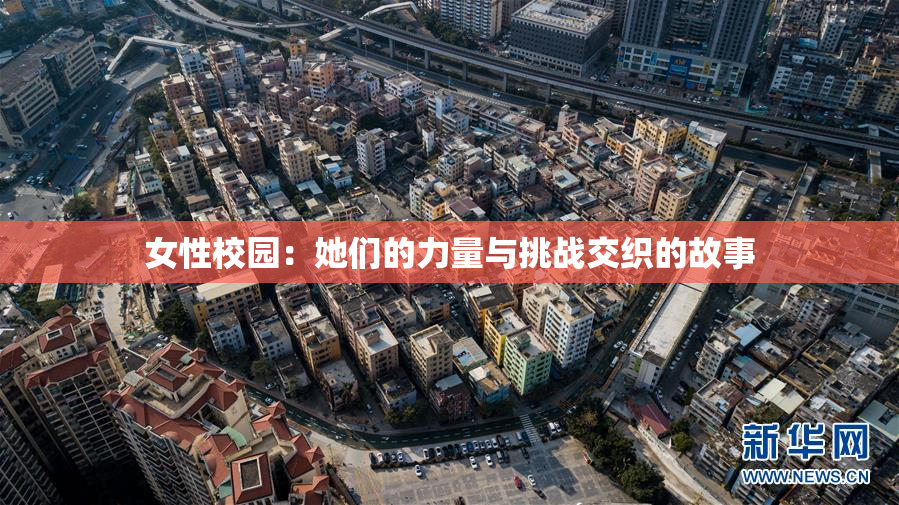 女性校园：她们的力量与挑战交织的故事