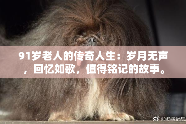 91岁老人的传奇人生：岁月无声，回忆如歌，值得铭记的故事。