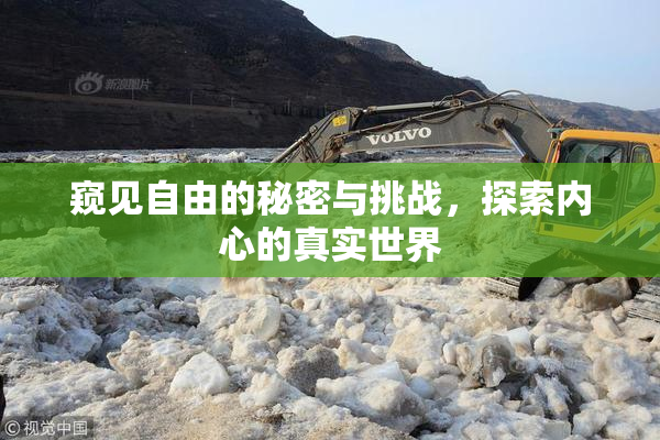 窥见自由的秘密与挑战，探索内心的真实世界