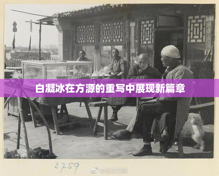 白凝冰在方源的重写中展现新篇章