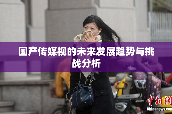 国产传媒视的未来发展趋势与挑战分析