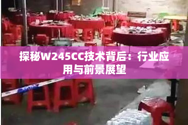 探秘W245CC技术背后：行业应用与前景展望