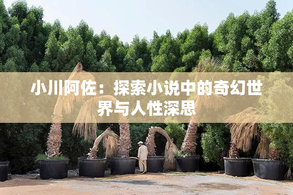 小川阿佐：探索小说中的奇幻世界与人性深思