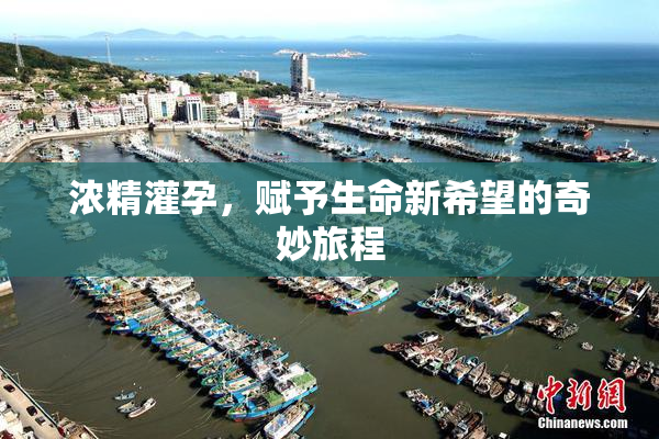 浓精灌孕，赋予生命新希望的奇妙旅程
