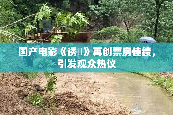 国产电影《诱奷》再创票房佳绩，引发观众热议