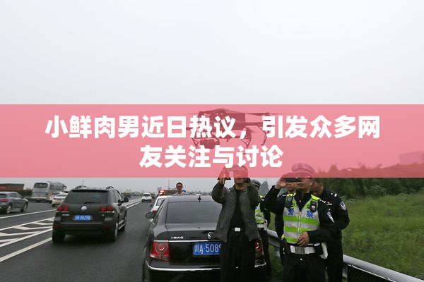 小鲜肉男近日热议，引发众多网友关注与讨论