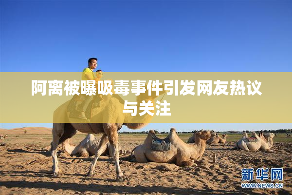 阿离被曝吸毒事件引发网友热议与关注