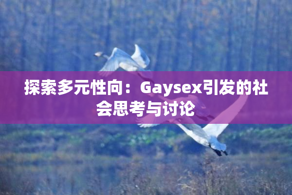探索多元性向：Gaysex引发的社会思考与讨论