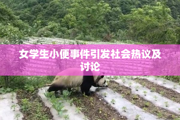 女学生小便事件引发社会热议及讨论