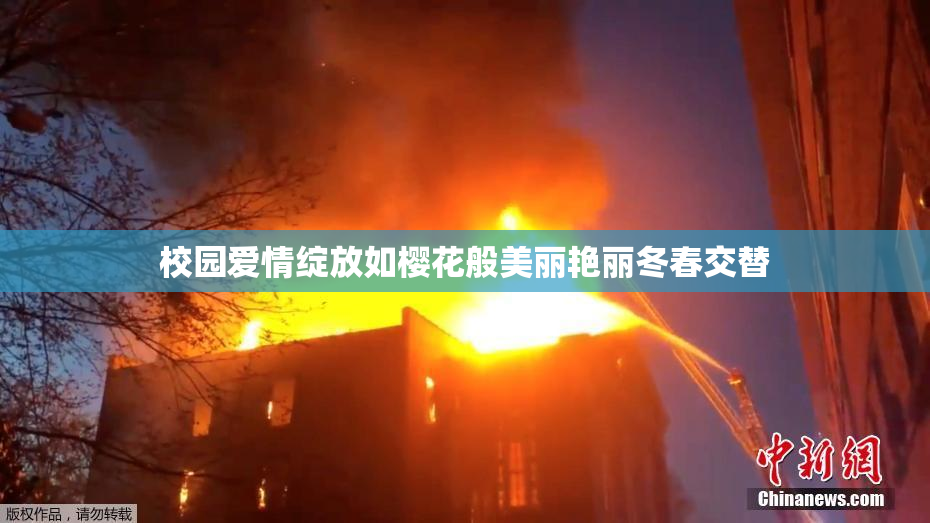 校园爱情绽放如樱花般美丽艳丽冬春交替