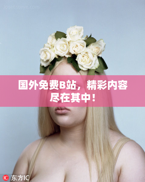 国外免费B站，精彩内容尽在其中！